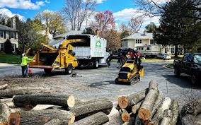 Best Commercial Tree Services  in Beresford, SD