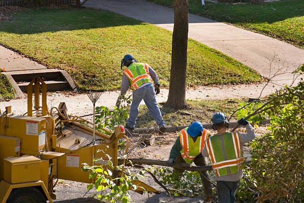 Best Lawn Irrigation Installation and Maintenance  in Beresford, SD